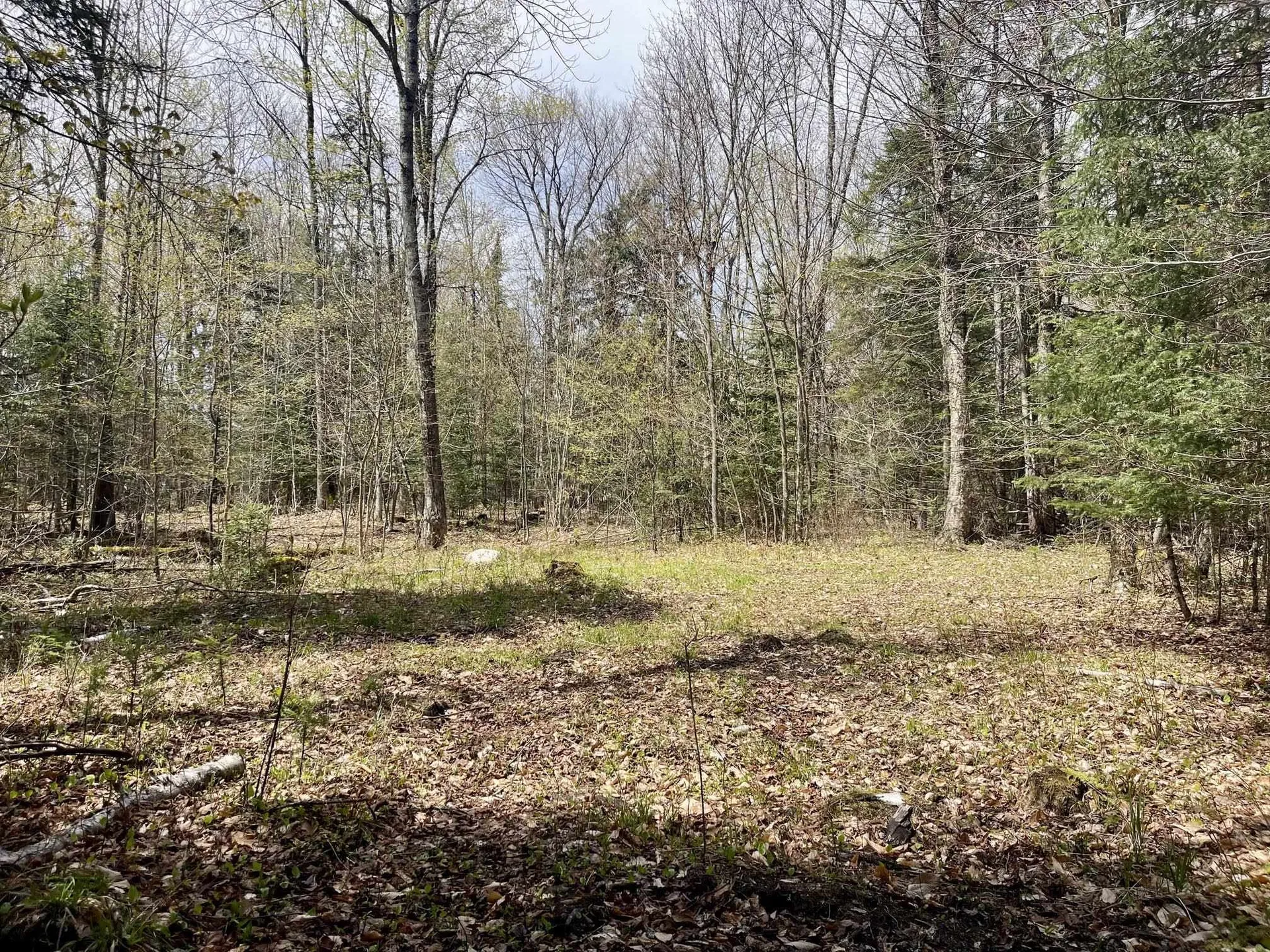 00 Peene Hill Road Westmore VT 05822