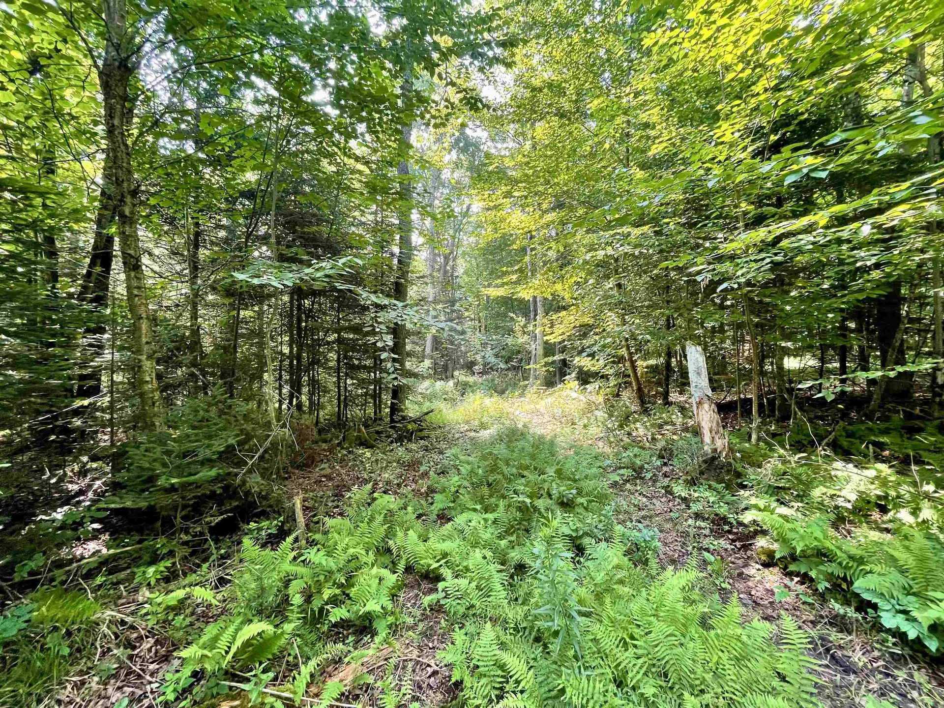 00 Peene Hill Road Westmore VT 05822