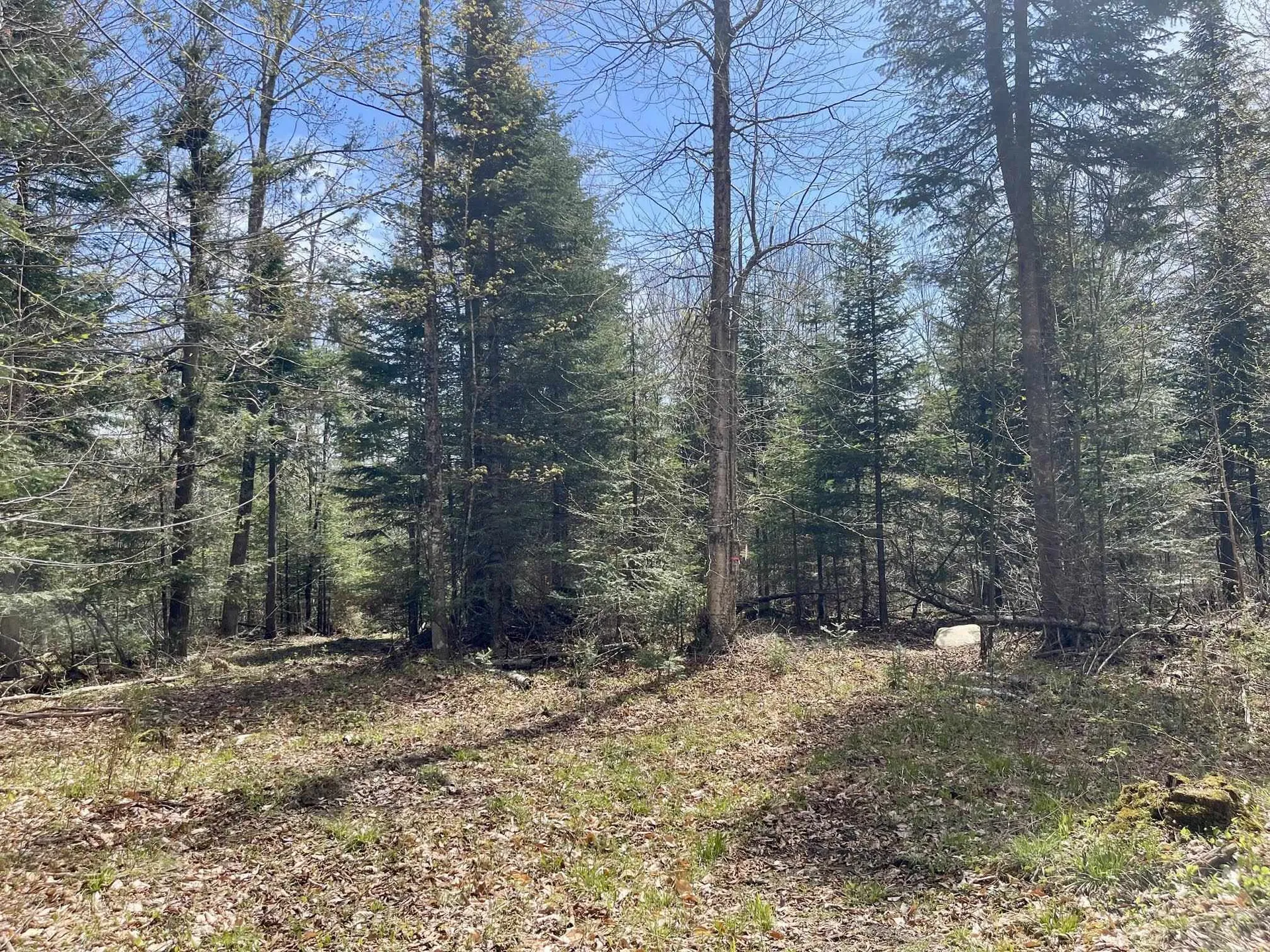 00 Peene Hill Road Westmore VT 05822