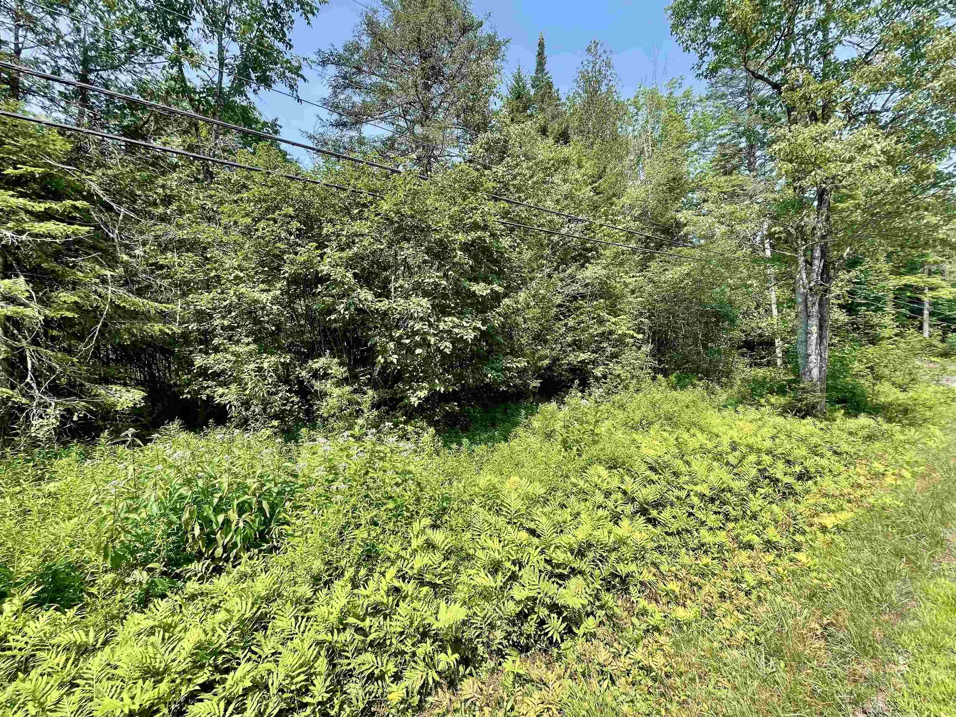 00 Peene Hill Road Westmore VT 05822