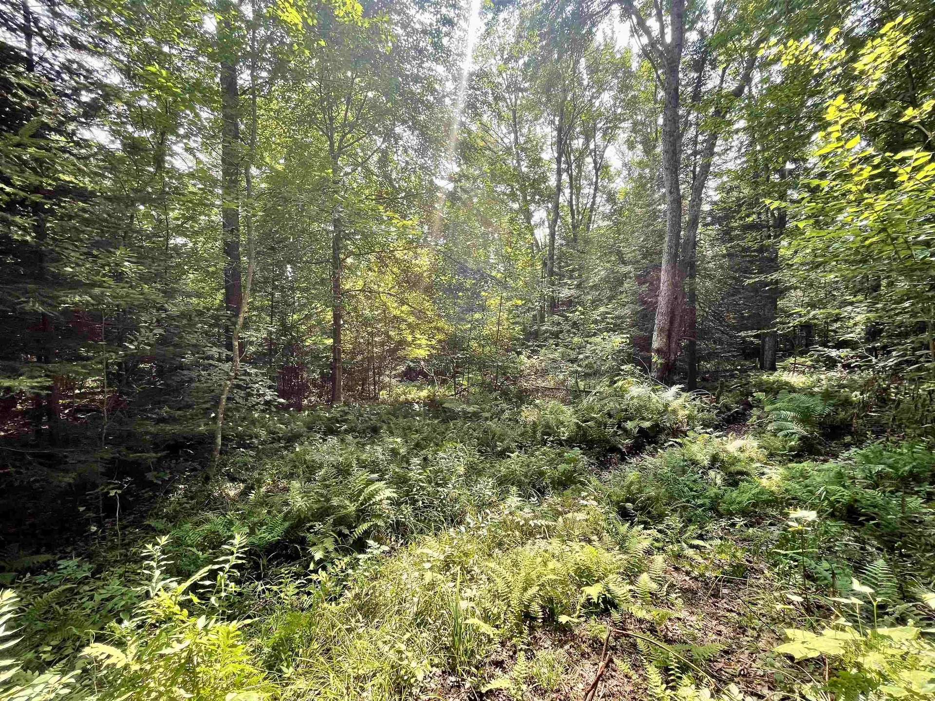 00 Peene Hill Road Westmore VT 05822