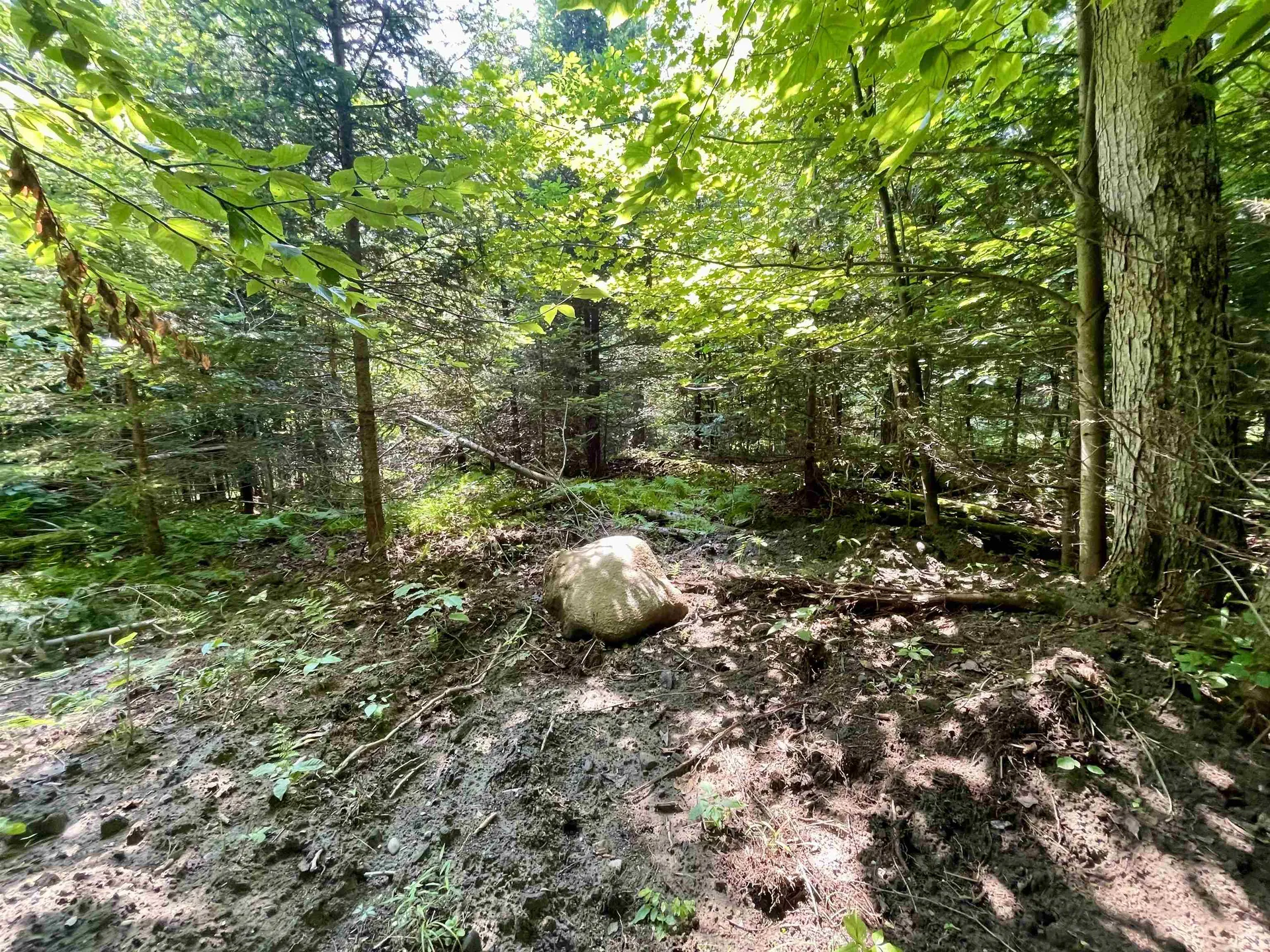 00 Peene Hill Road Westmore VT 05822