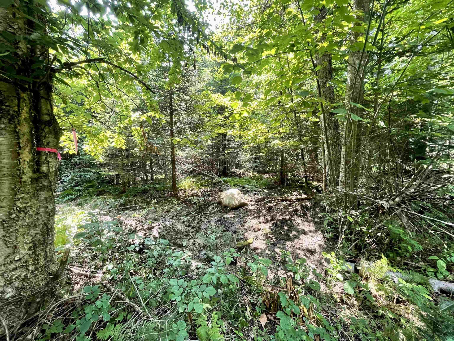 00 Peene Hill Road Westmore VT 05822