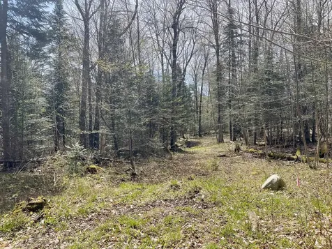 00 Peene Hill Road Westmore VT 05822