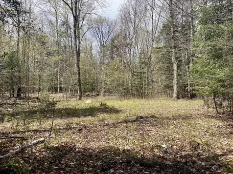 00 Peene Hill Road Westmore VT 05822