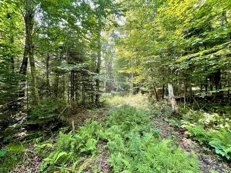 00 Peene Hill Road Westmore VT 05822