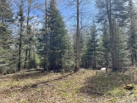 00 Peene Hill Road Westmore VT 05822