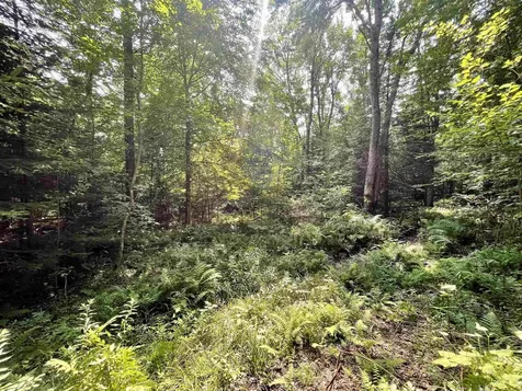 00 Peene Hill Road Westmore VT 05822