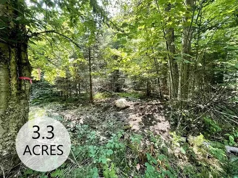 00 Peene Hill Road Westmore VT 05822