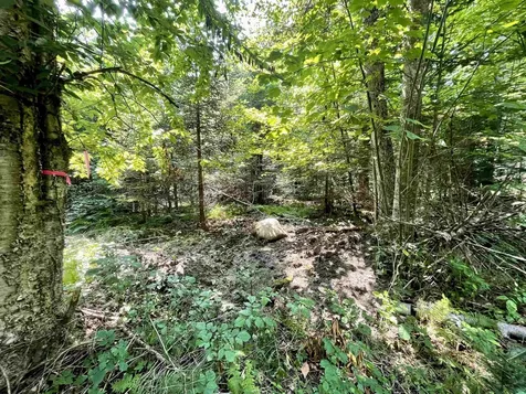 00 Peene Hill Road Westmore VT 05822