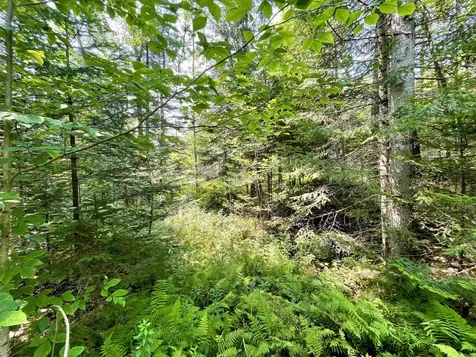 00 Peene Hill Road Westmore VT 05822