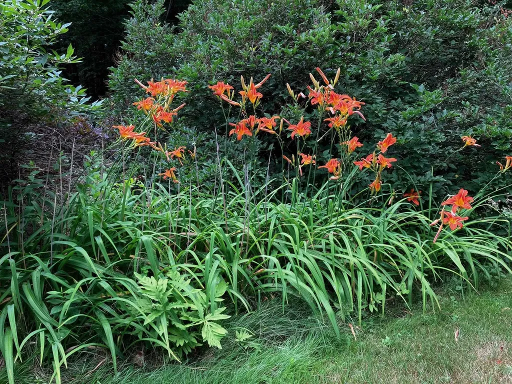 5 Asa Drive Bow NH 03304