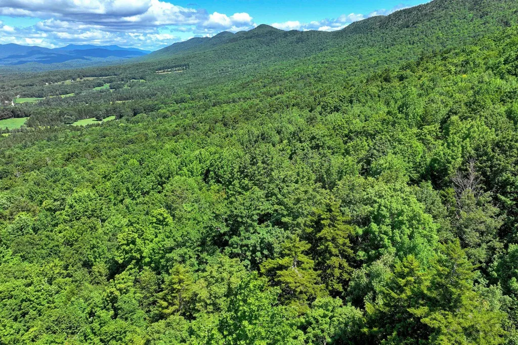 1498 North Hollow Road Rochester VT 05767