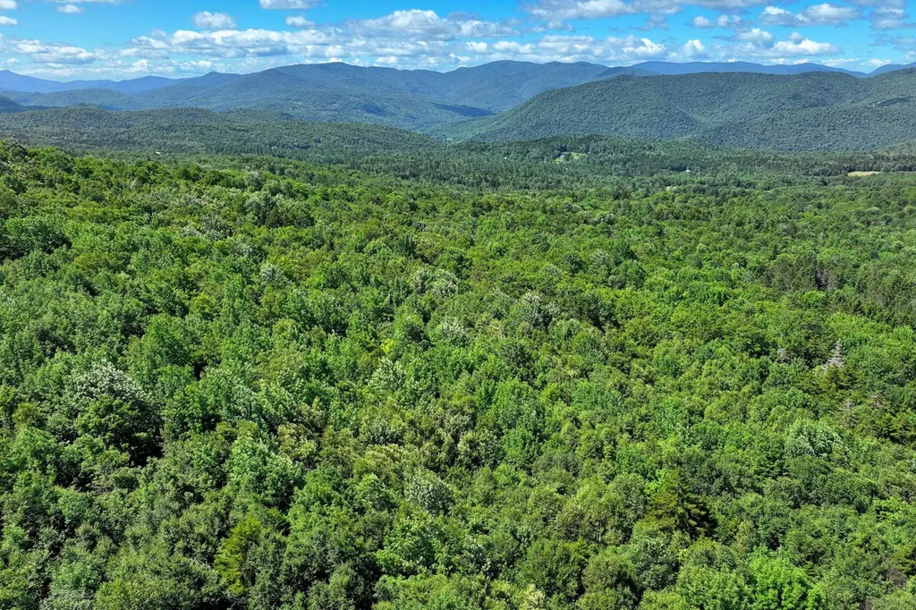 1498 North Hollow Road Rochester VT 05767