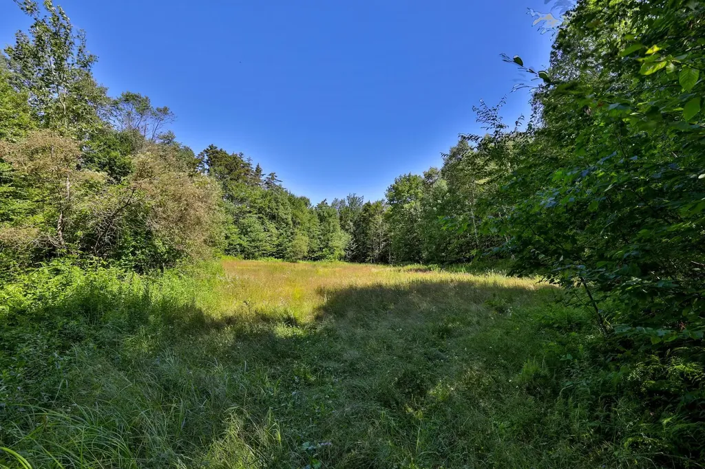 1498 North Hollow Road Rochester VT 05767