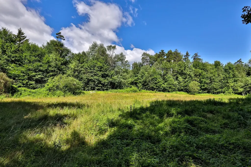 1498 North Hollow Road Rochester VT 05767