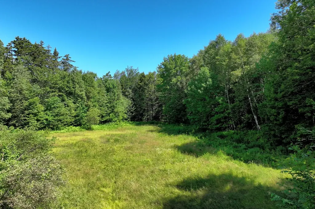 1498 North Hollow Road Rochester VT 05767