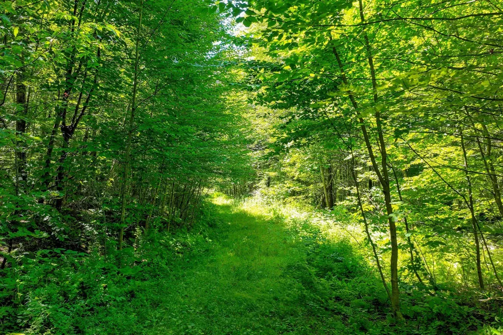 1498 North Hollow Road Rochester VT 05767