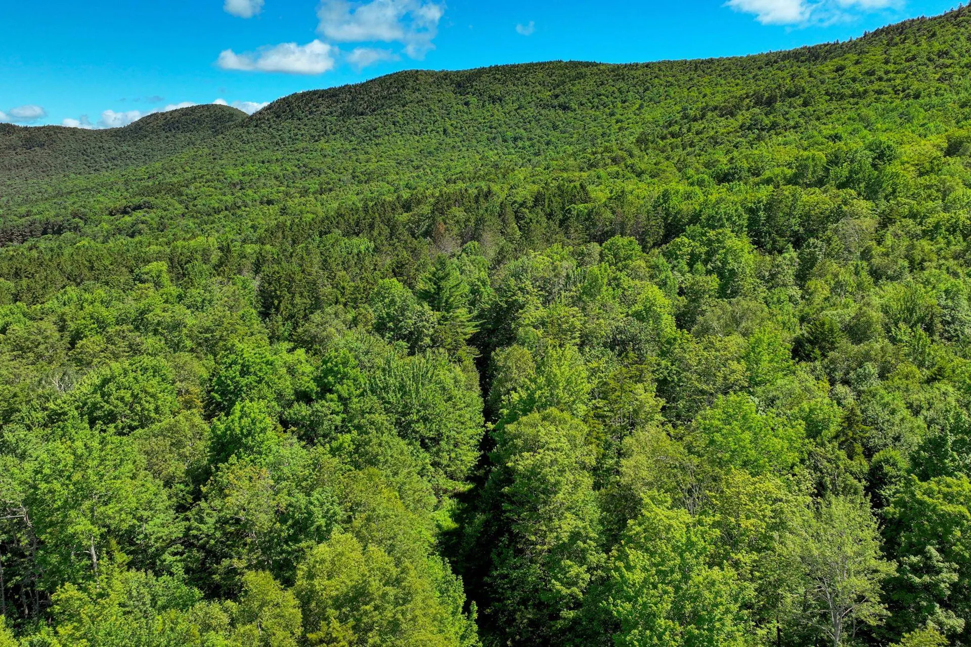 1498 North Hollow Road Rochester VT 05767