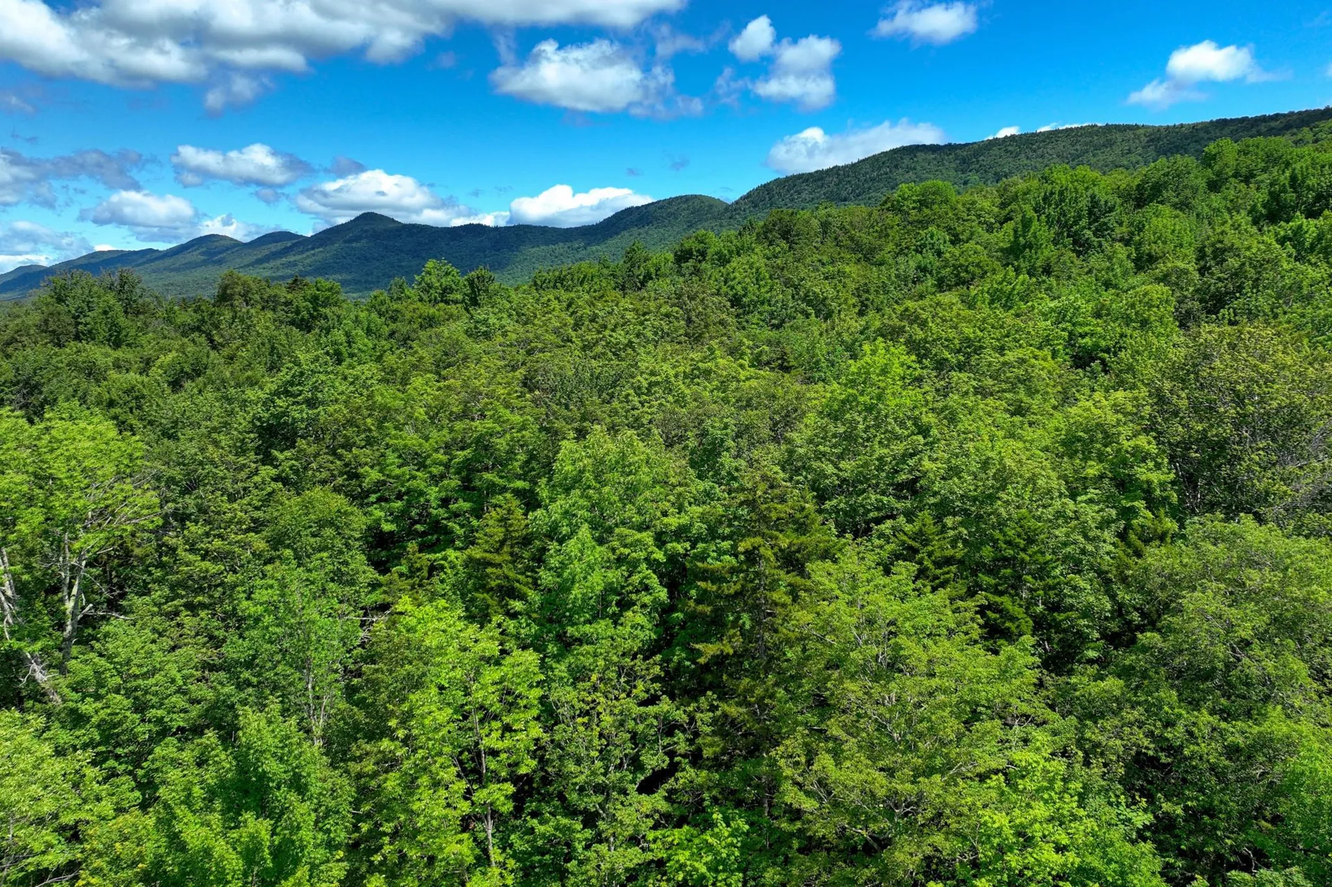 1498 North Hollow Road Rochester VT 05767