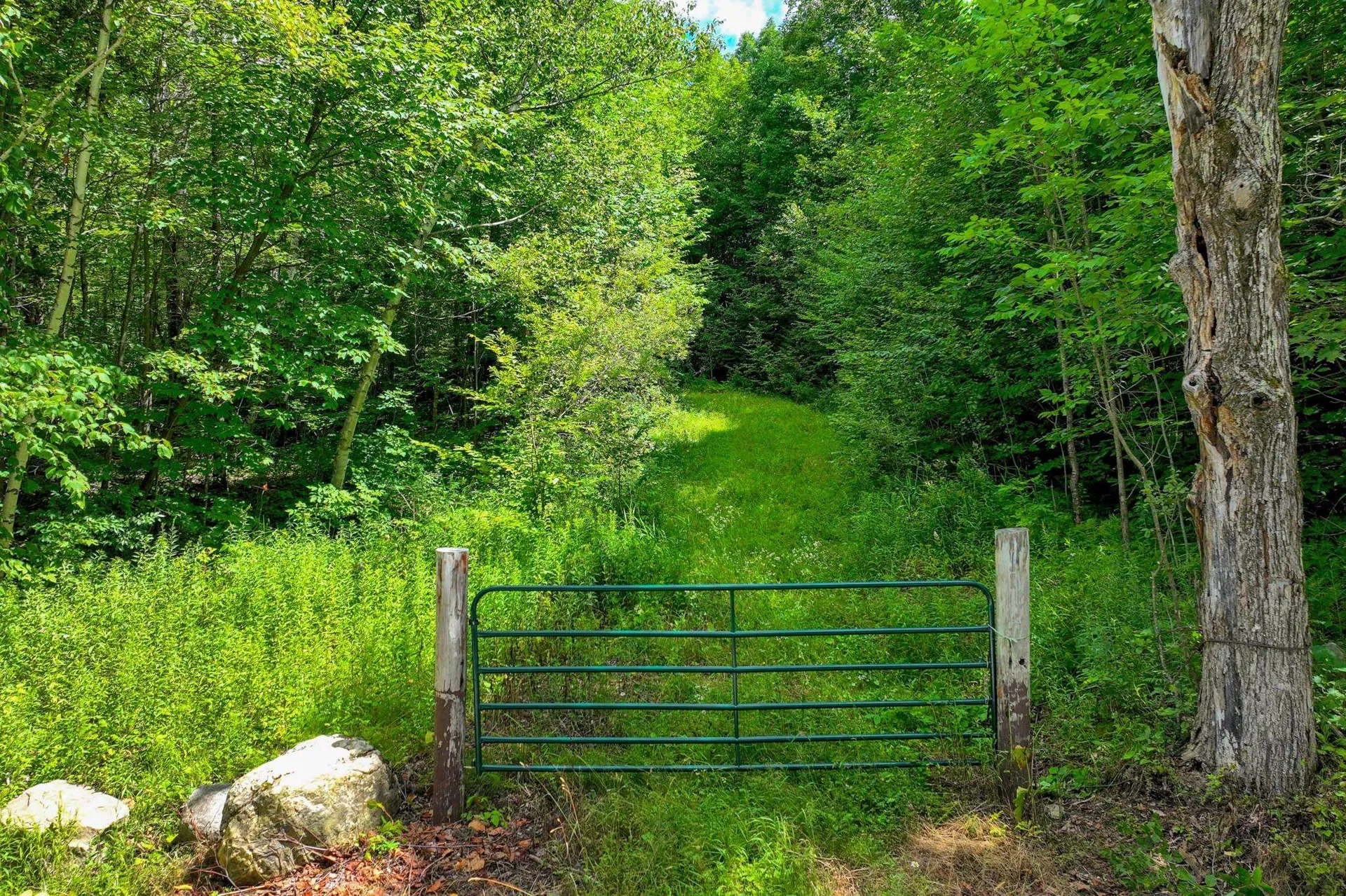 1498 North Hollow Road Rochester VT 05767