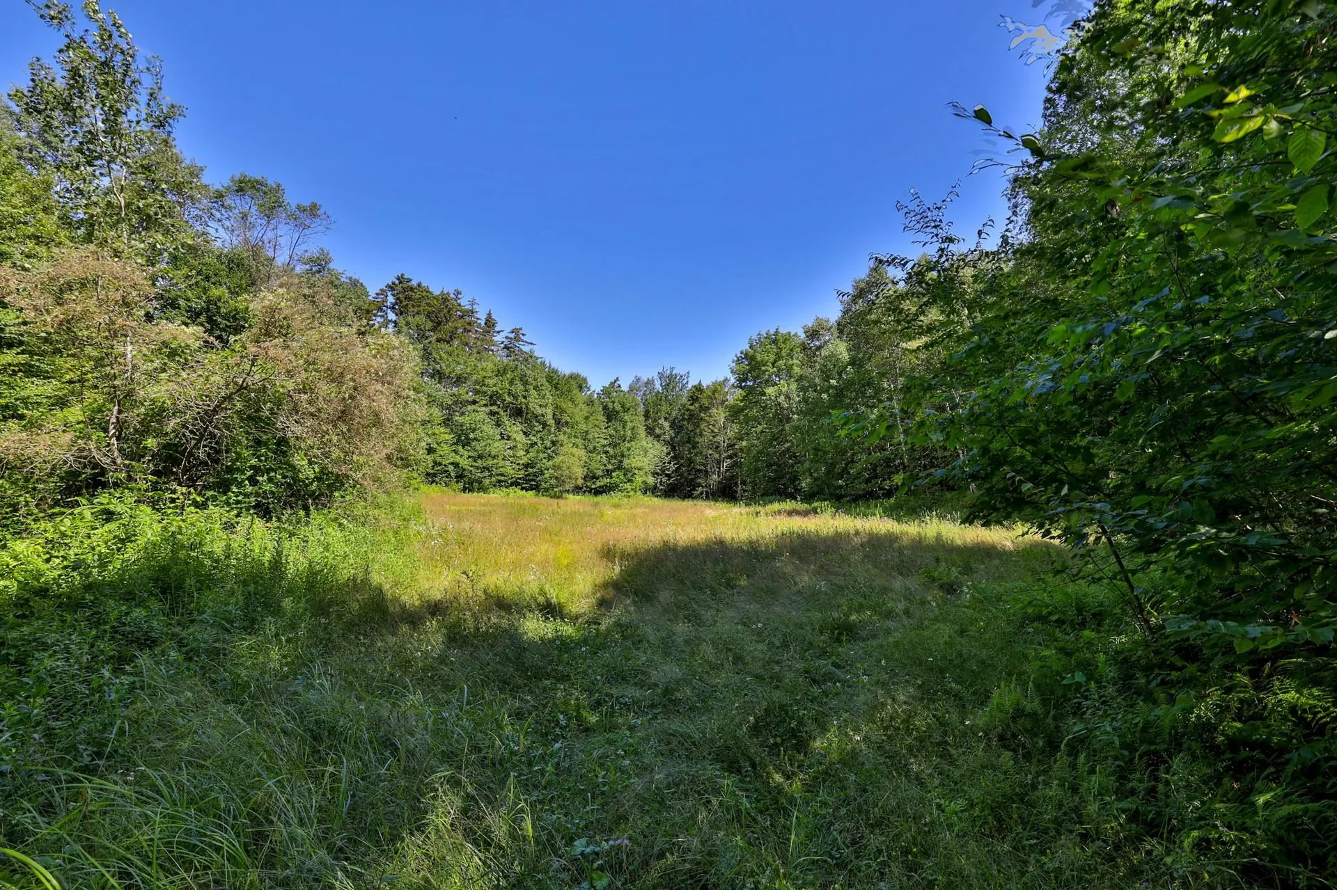 1498 North Hollow Road Rochester VT 05767