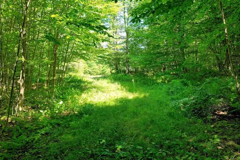 1498 North Hollow Road Rochester VT 05767