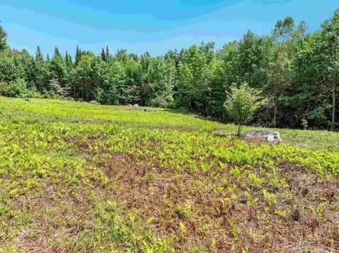 143 Foxglove Lane Franconia NH 03580