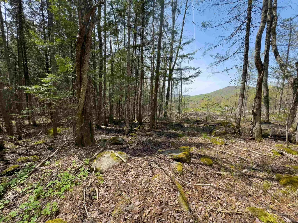 Lot 4 Oregon Road Concord VT 05824
