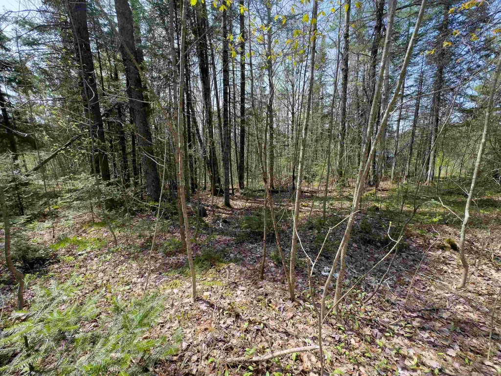 Lot 4 Oregon Road Concord VT 05824