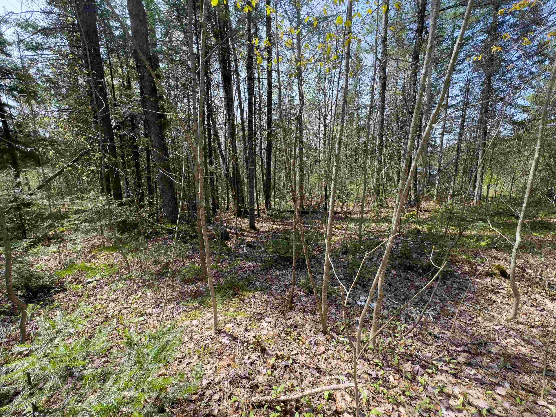 Lot 4 Oregon Road Concord VT 05824