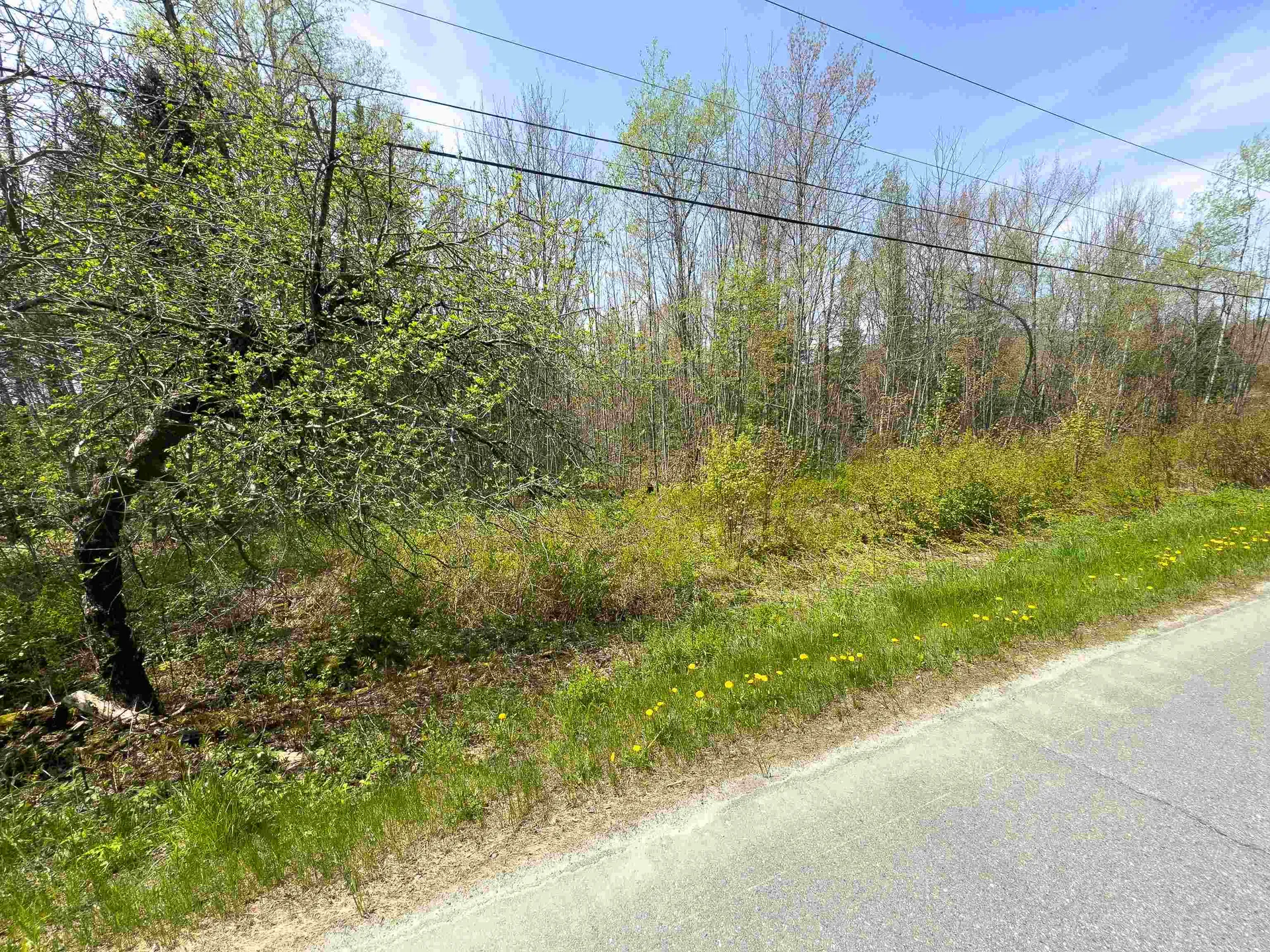 Lot 4 Oregon Road Concord VT 05824