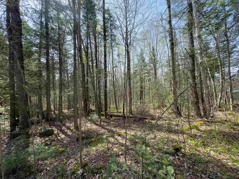 Lot 4 Oregon Road Concord VT 05824