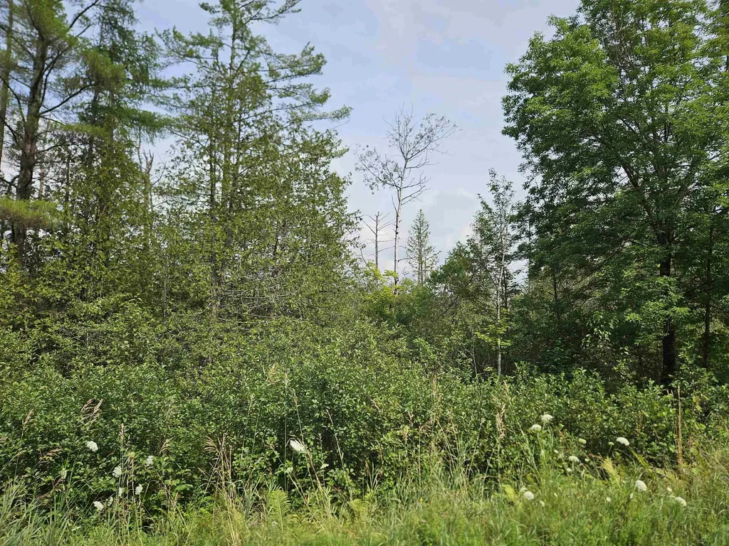 21 Rice Farm Lane Brownington VT 05860