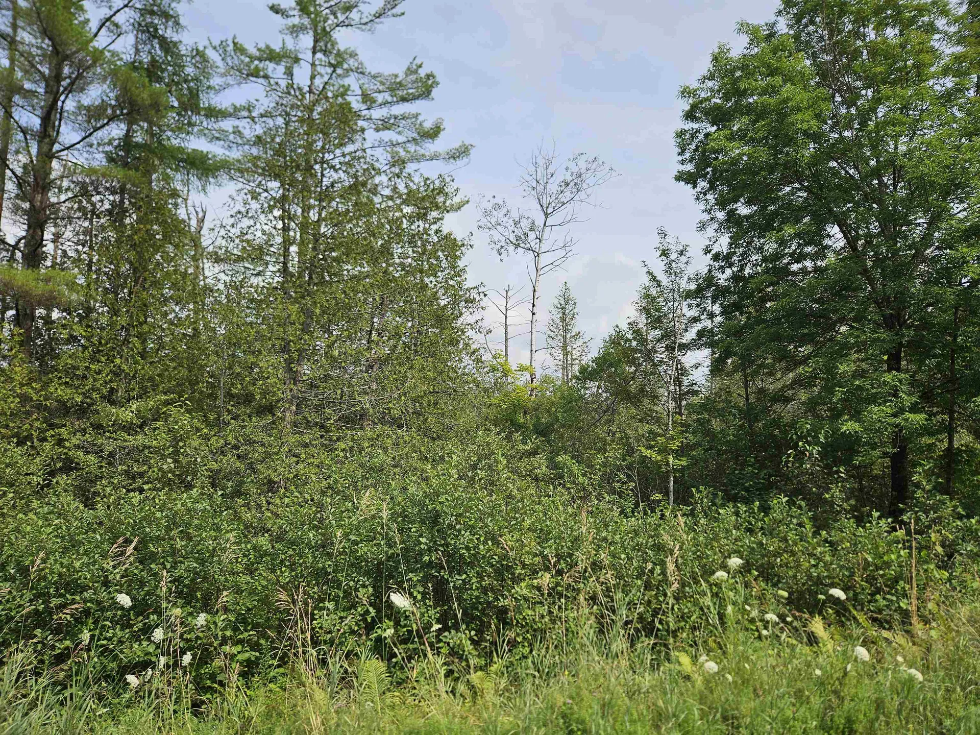 21 Rice Farm Lane Brownington VT 05860