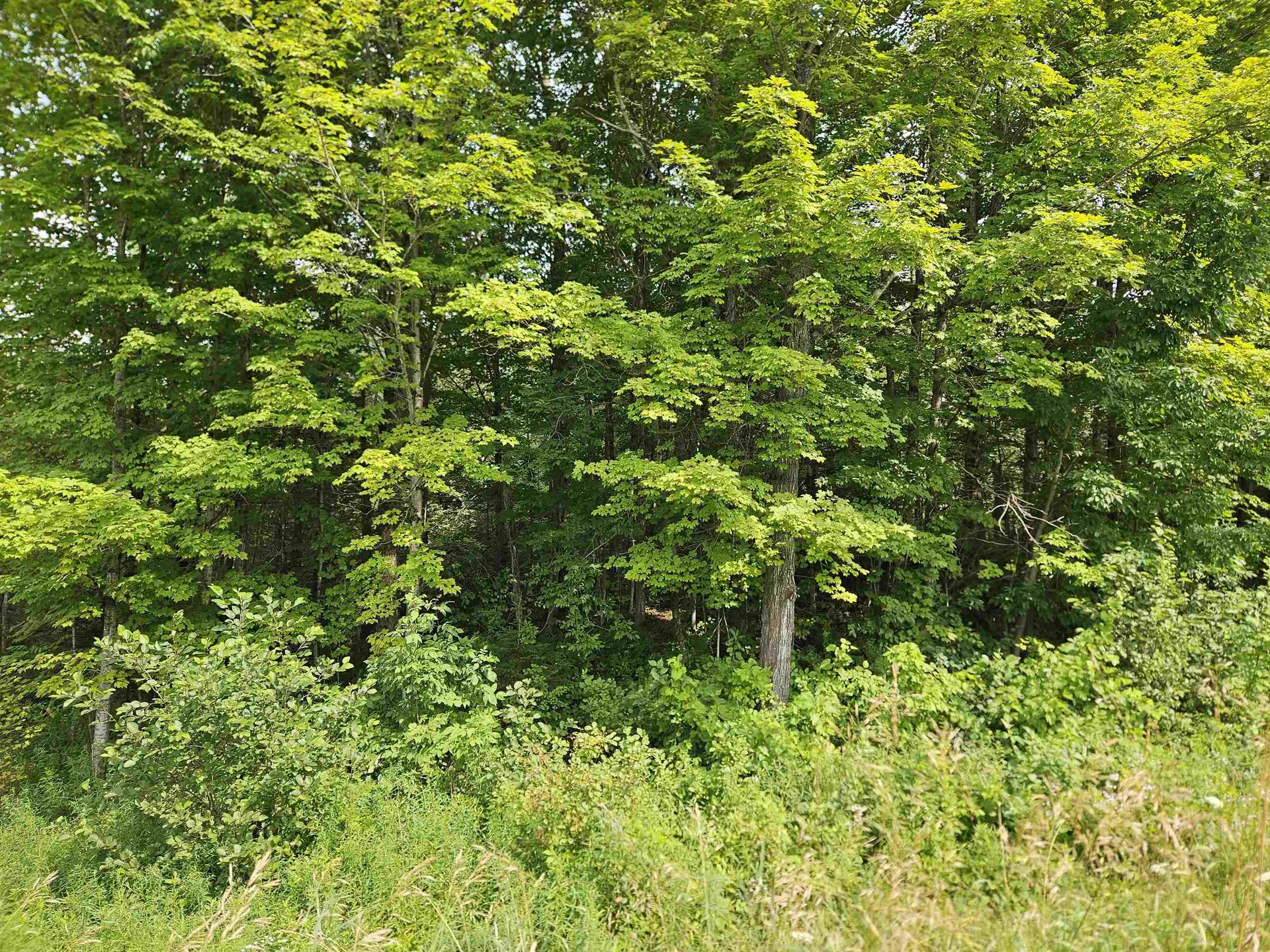 21 Rice Farm Lane Brownington VT 05860