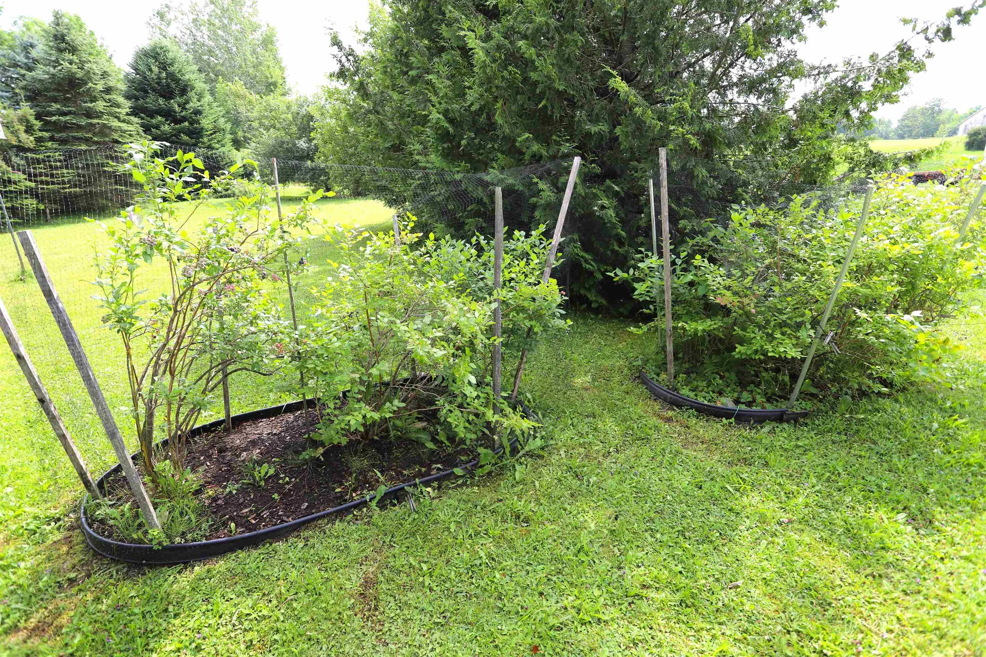 21 Rice Farm Lane Brownington VT 05860