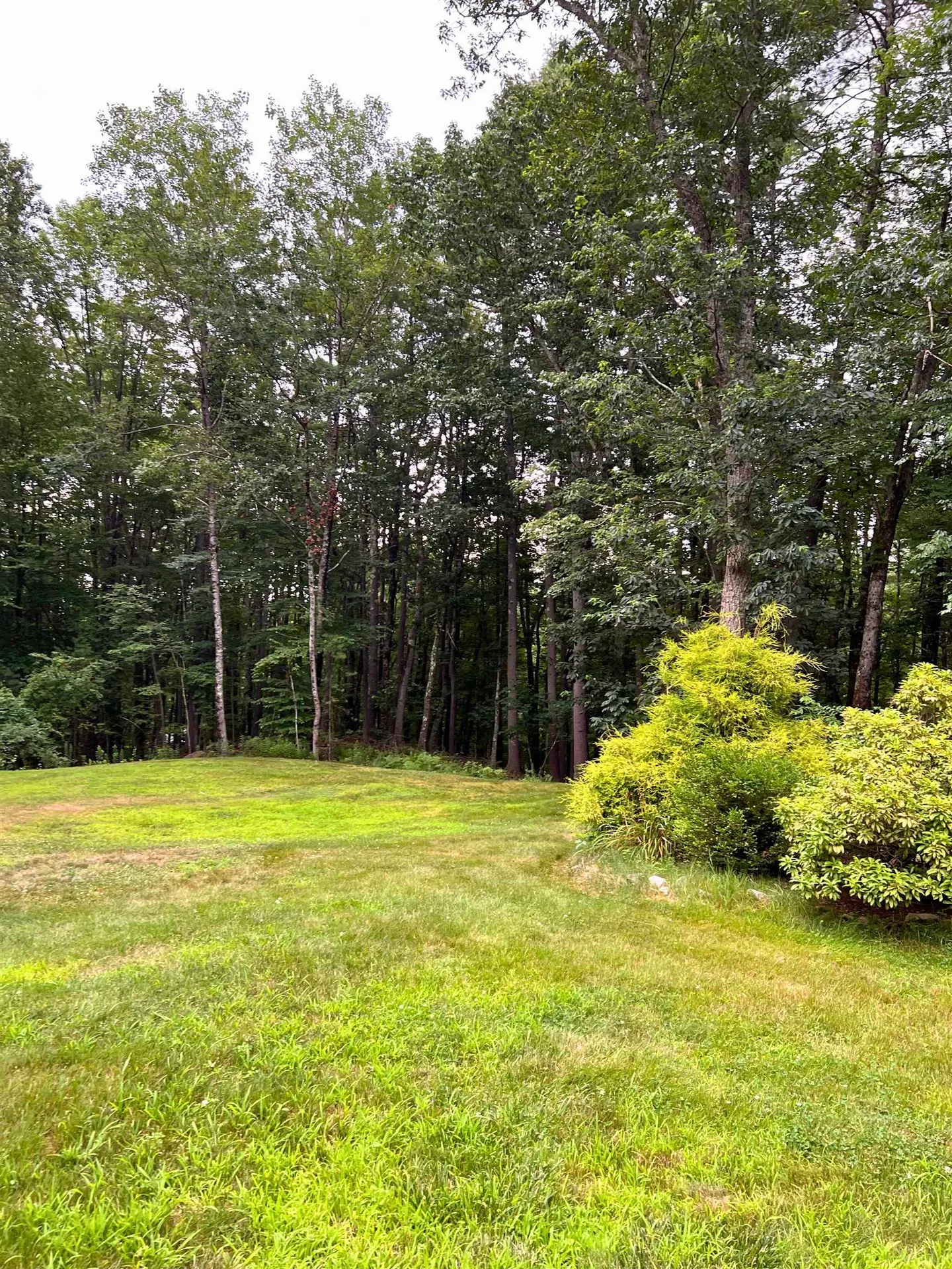 7 Hamilton Way Bedford NH 03110