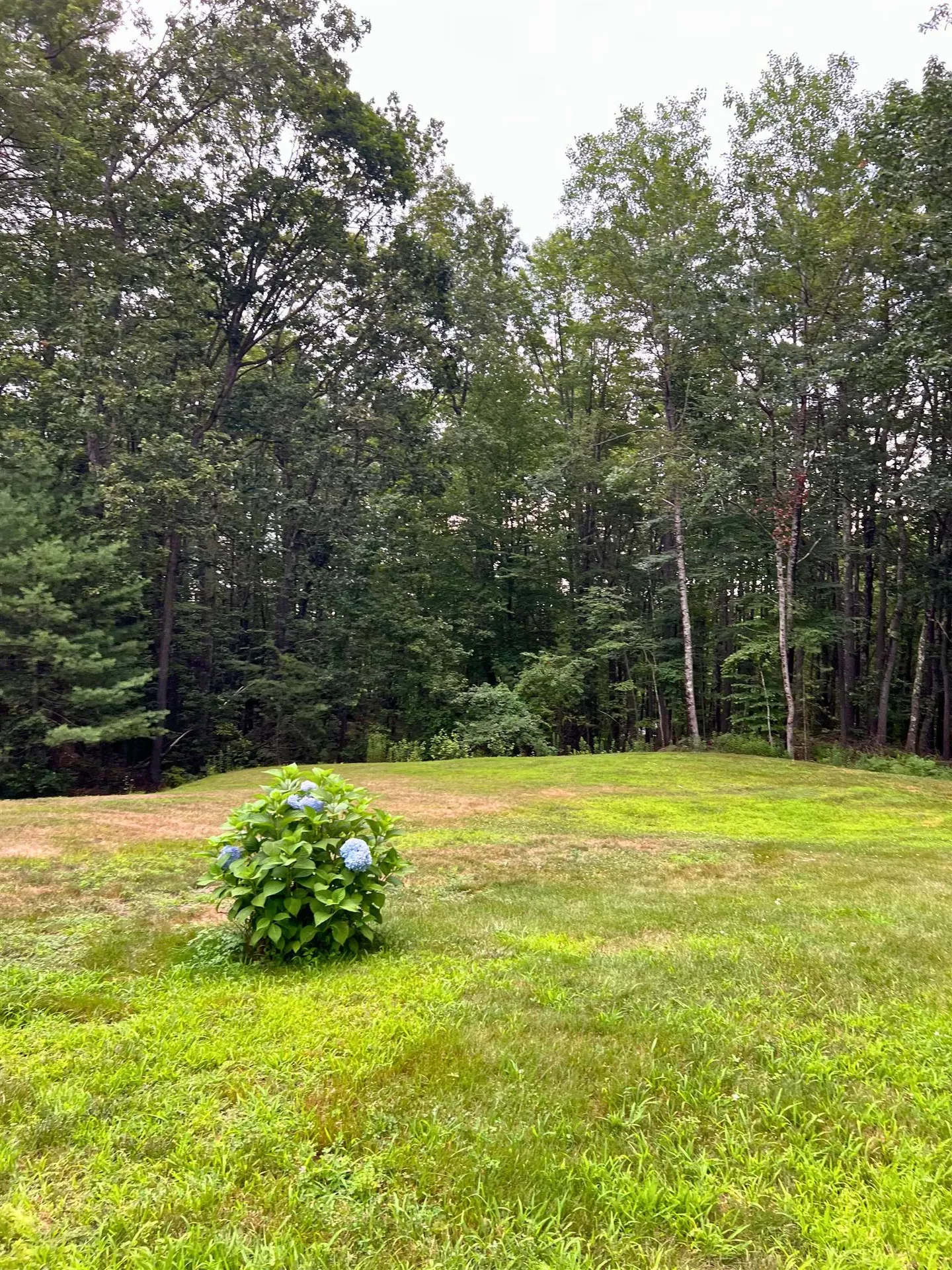 7 Hamilton Way Bedford NH 03110