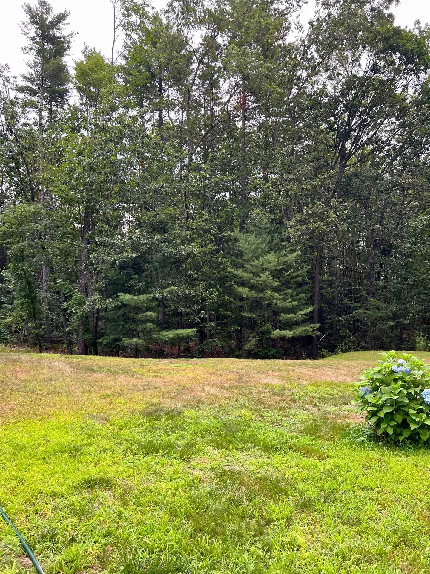 7 Hamilton Way Bedford NH 03110