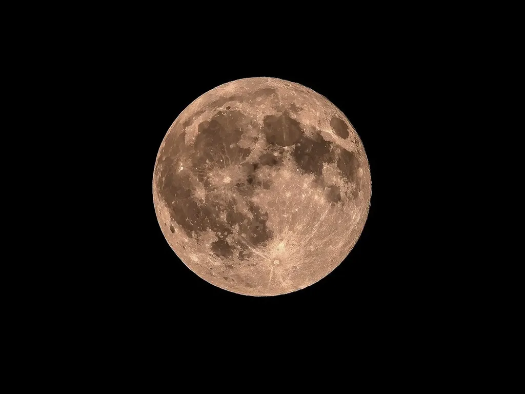 245 North Road Deerfield NH 03037-1145