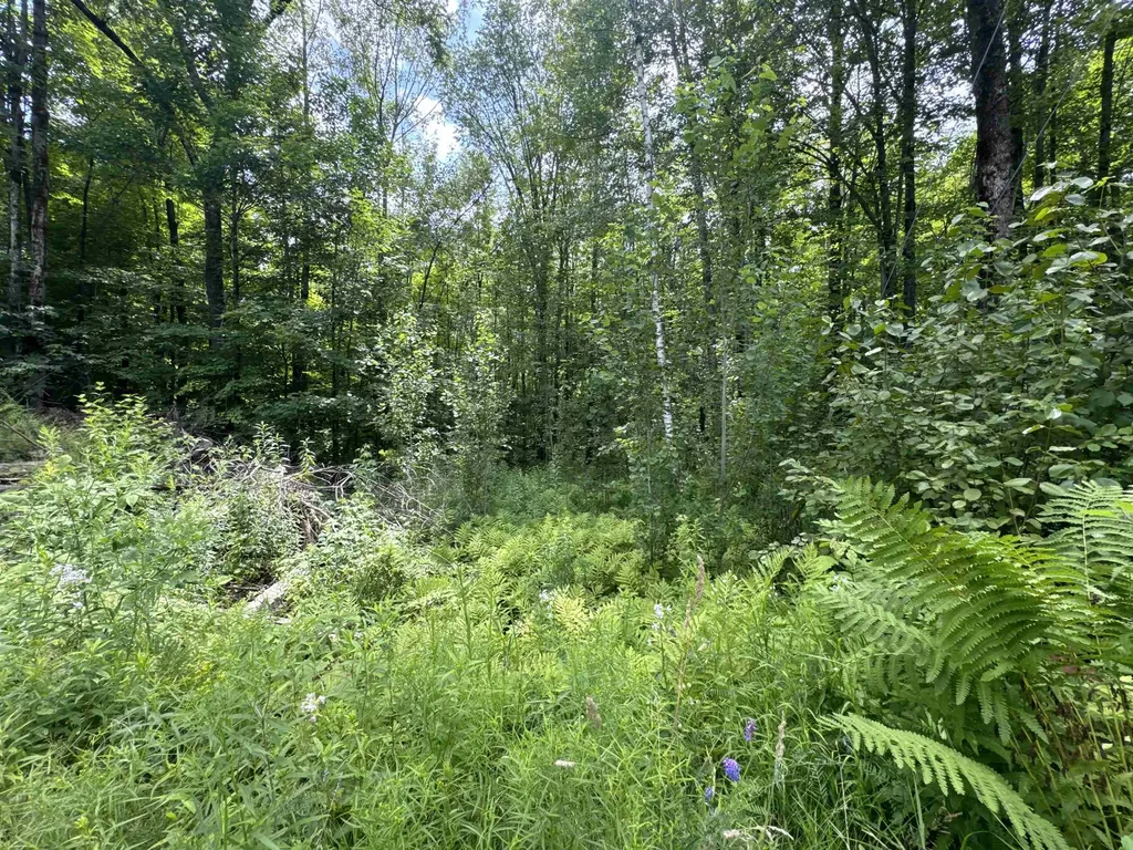 95 Barrywilde Road Fairfield VT 05455