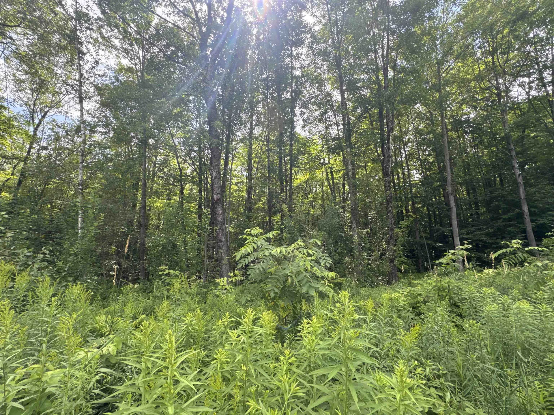 95 Barrywilde Road Fairfield VT 05455