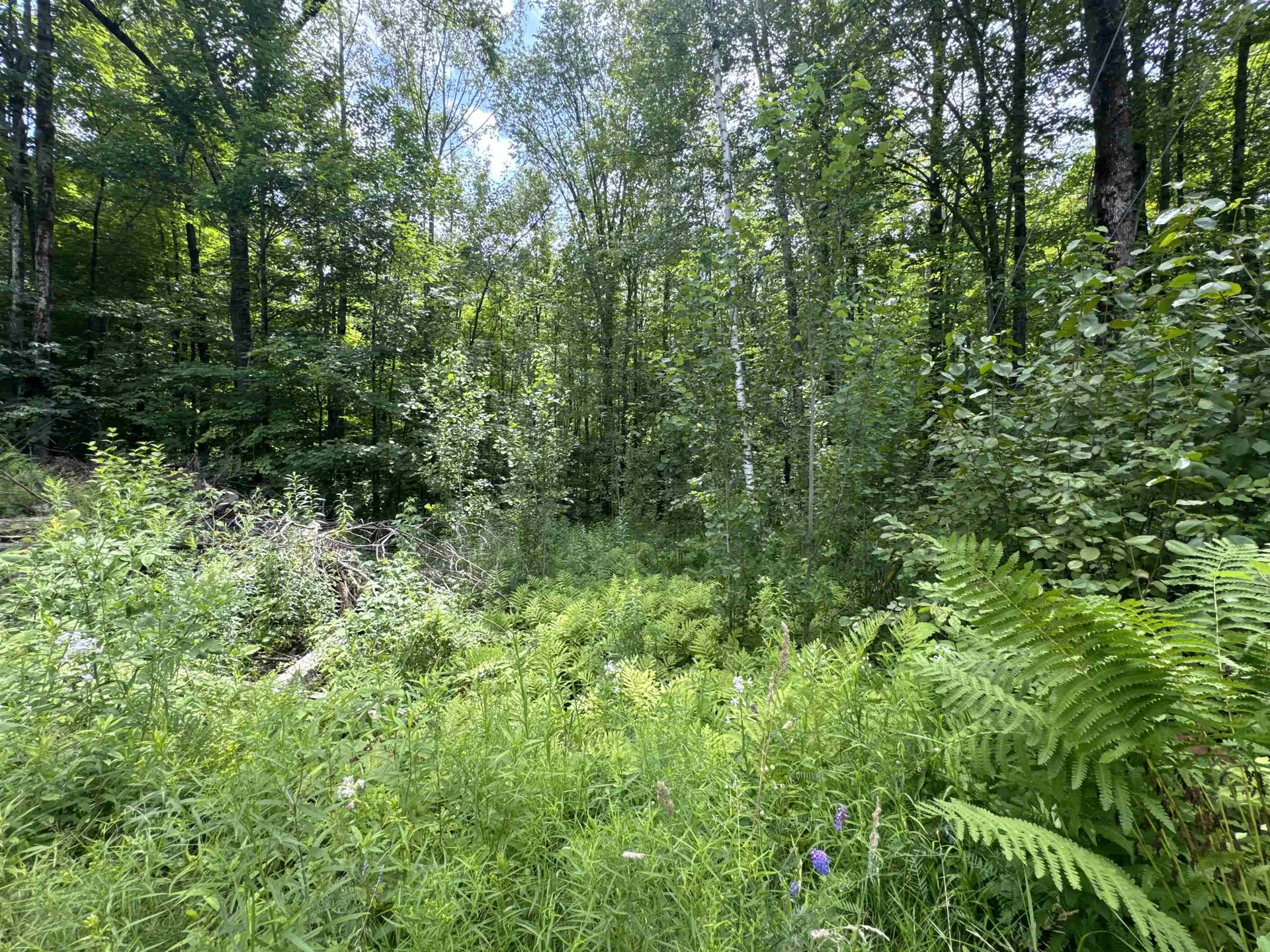 95 Barrywilde Road Fairfield VT 05455