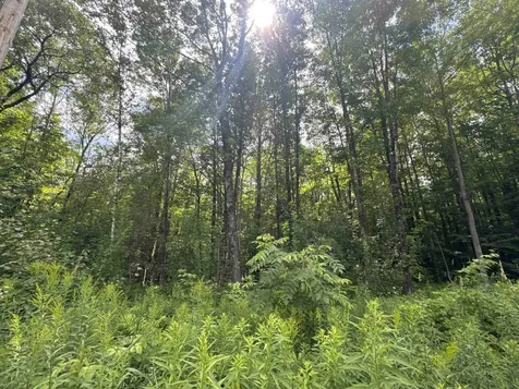 95 Barrywilde Road Fairfield VT 05455