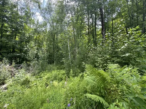 95 Barrywilde Road Fairfield VT 05455