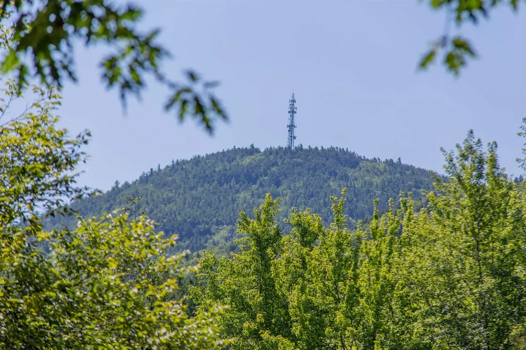 71 Mays Way Tamworth NH 03890