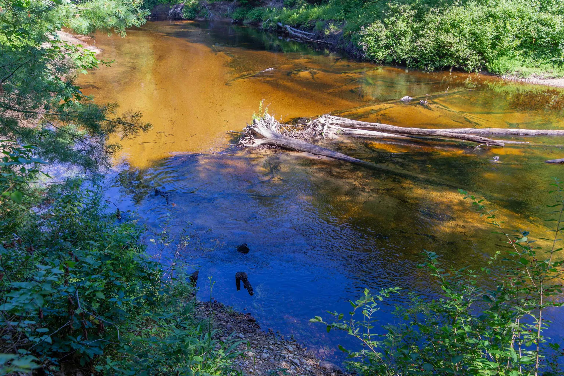 71 Mays Way Tamworth NH 03890