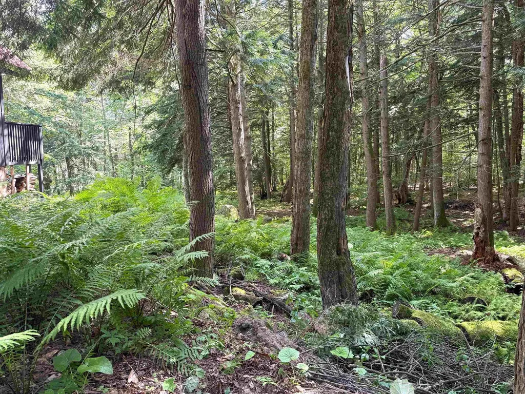 33 Aspen Lane Winhall VT 05340