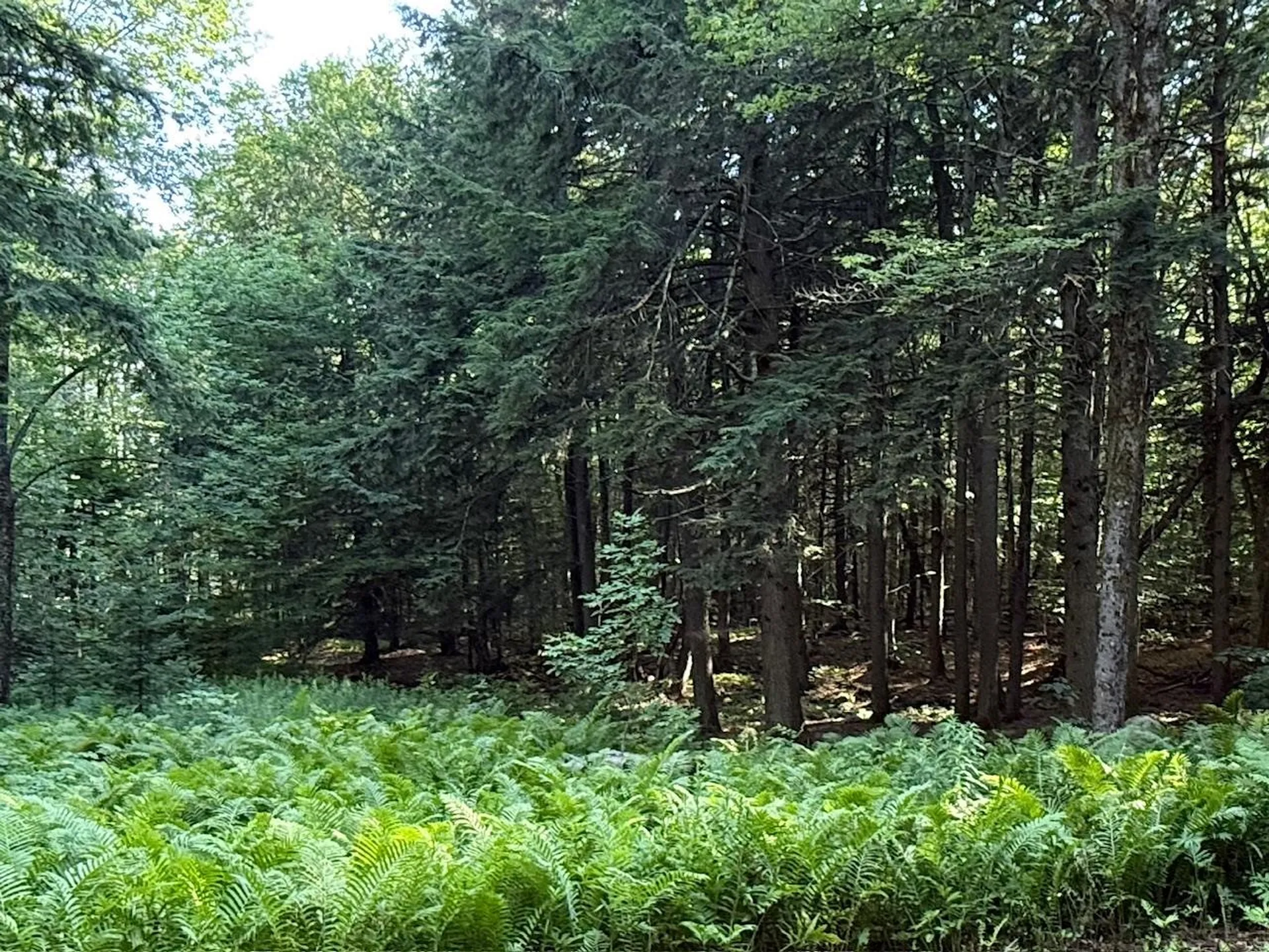 33 Aspen Lane Winhall VT 05340